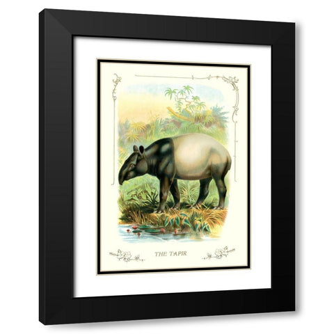 The Tapir, 1900 Black Modern Wood Framed Art Print with Double Matting by Unknown