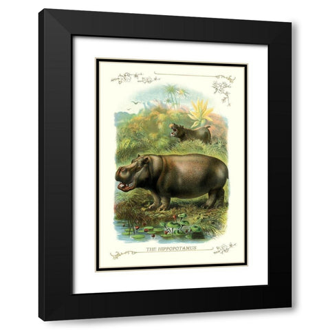 The Hippopotamus, 1900 Black Modern Wood Framed Art Print with Double Matting by Unknown