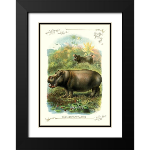 The Hippopotamus, 1900 Black Modern Wood Framed Art Print with Double Matting by Unknown