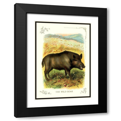 The Wild Boar, 1900 Black Modern Wood Framed Art Print with Double Matting by Unknown