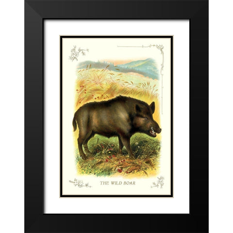 The Wild Boar, 1900 Black Modern Wood Framed Art Print with Double Matting by Unknown