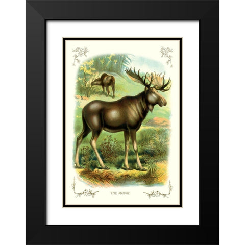 The Moose, 1900 Black Modern Wood Framed Art Print with Double Matting by Unknown