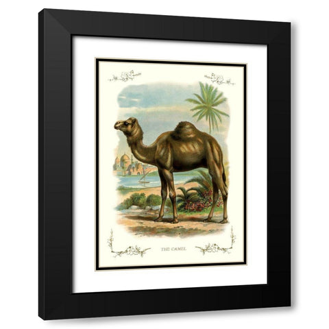The Camel, 1900 Black Modern Wood Framed Art Print with Double Matting by Unknown