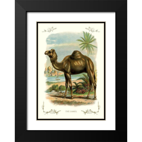 The Camel, 1900 Black Modern Wood Framed Art Print with Double Matting by Unknown