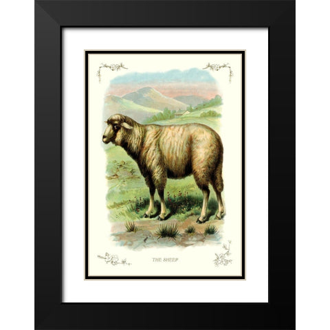 The Sheep, 1900 Black Modern Wood Framed Art Print with Double Matting by Unknown