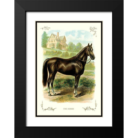 The Horse, 1900 Black Modern Wood Framed Art Print with Double Matting by Unknown