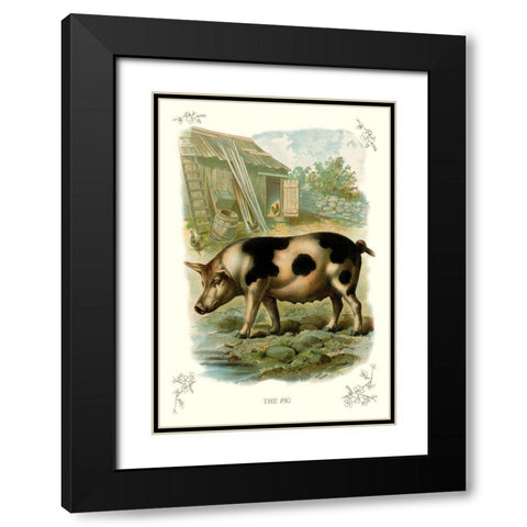 The Pig, 1900 Black Modern Wood Framed Art Print with Double Matting by Unknown
