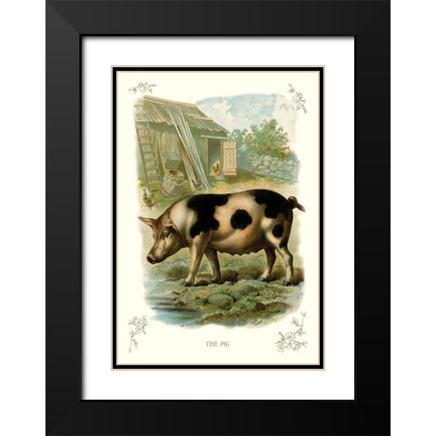 The Pig, 1900 Black Modern Wood Framed Art Print with Double Matting by Unknown