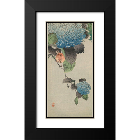 Small bird and hydrangea Black Modern Wood Framed Art Print with Double Matting by Unknown