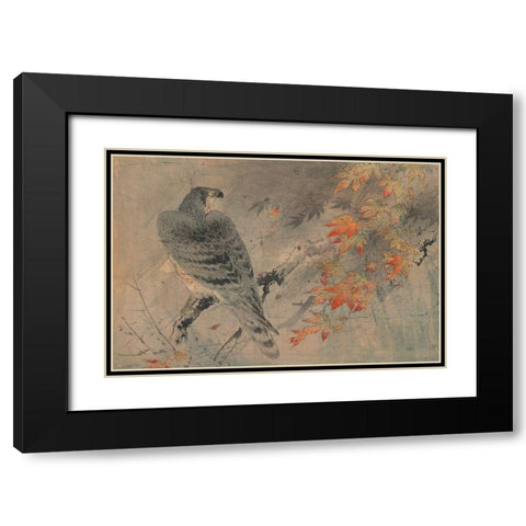 Eagle on a maple branch Black Modern Wood Framed Art Print with Double Matting by Unknown