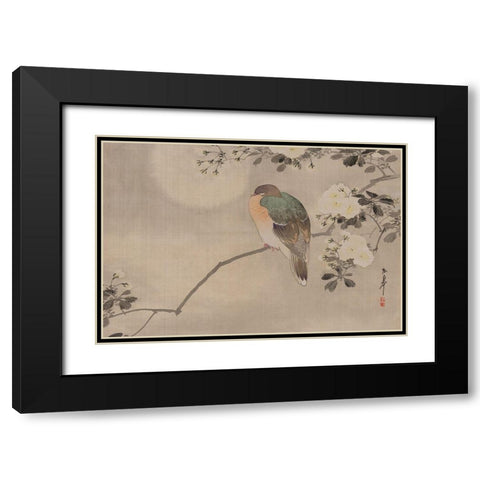 Robin sitting on a Tree Branch Black Modern Wood Framed Art Print with Double Matting by Unknown