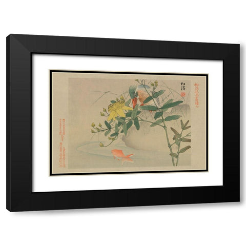 Kingfisher and Goldfish in Pond Black Modern Wood Framed Art Print with Double Matting by Unknown