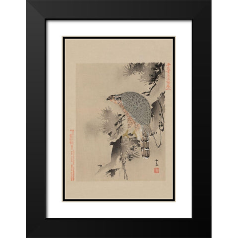Hawk Black Modern Wood Framed Art Print with Double Matting by Unknown
