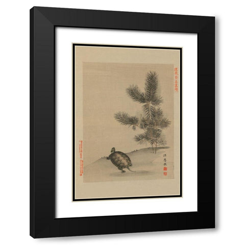 Turtle Black Modern Wood Framed Art Print with Double Matting by Unknown