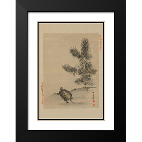 Turtle Black Modern Wood Framed Art Print with Double Matting by Unknown