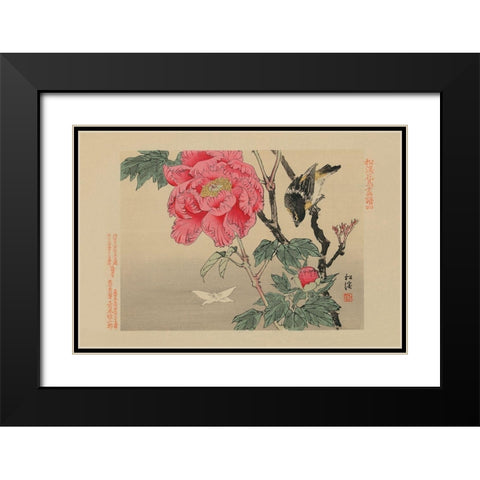 Bird watching a Butterfly Black Modern Wood Framed Art Print with Double Matting by Unknown