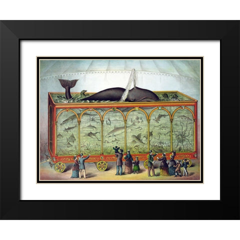 Aquarium Black Modern Wood Framed Art Print with Double Matting by Gibson and Co.