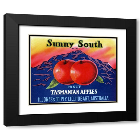 Sunny South Tasmanian Apples Black Modern Wood Framed Art Print with Double Matting by Retrolabel