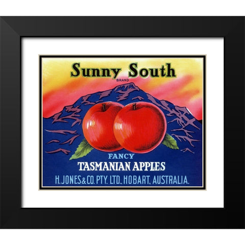 Sunny South Tasmanian Apples Black Modern Wood Framed Art Print with Double Matting by Retrolabel