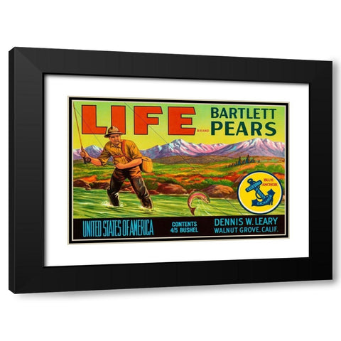 Life Brand Bartlett Pears Black Modern Wood Framed Art Print with Double Matting by Retrolabel