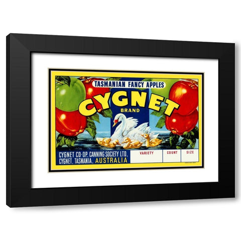Cygnet Tasmanian Fancy Apples Black Modern Wood Framed Art Print with Double Matting by Retrolabel