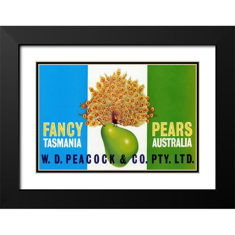 Peacock Pears Black Modern Wood Framed Art Print with Double Matting by Retrolabel