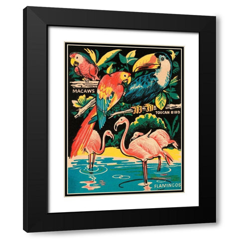 Tropical Hobbyland - Birds Black Modern Wood Framed Art Print with Double Matting by Retrotravel