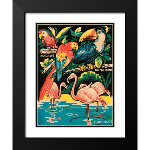 Tropical Hobbyland - Birds Black Modern Wood Framed Art Print with Double Matting by Retrotravel