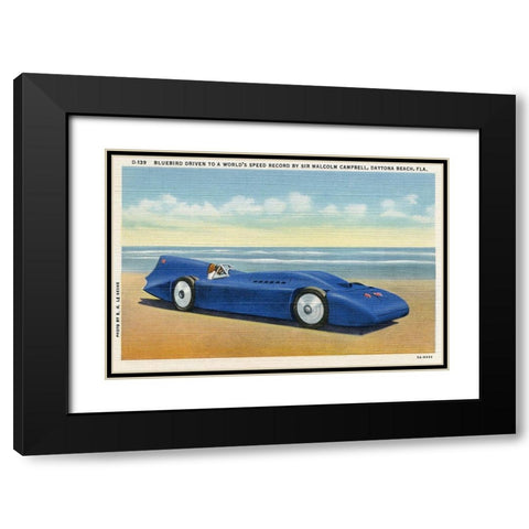 BlueBird 5 Black Modern Wood Framed Art Print with Double Matting by Retrotravel