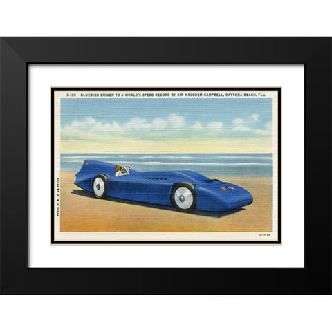 BlueBird 5 Black Modern Wood Framed Art Print with Double Matting by Retrotravel