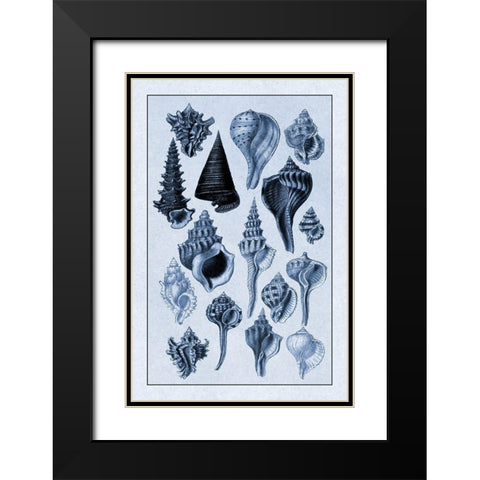 Shells: Trachelipoda #4 (Blue) Black Modern Wood Framed Art Print with Double Matting by Sowerby, G.B.