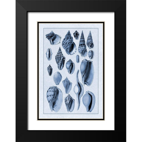 Shells: Trachelipoda #6 (Blue) Black Modern Wood Framed Art Print with Double Matting by Sowerby, G.B.