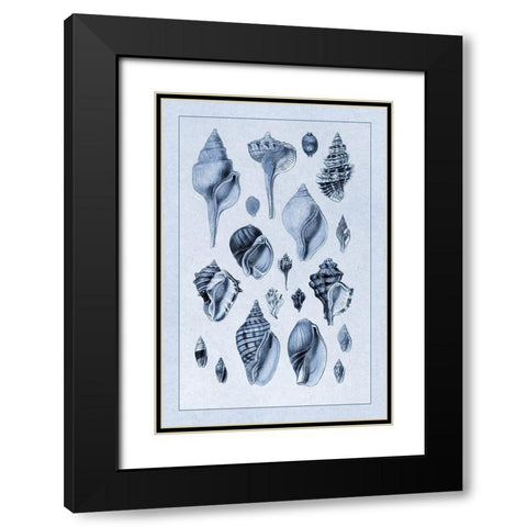 Shells: Sessile Cirripedes #3 (Blue) Black Modern Wood Framed Art Print with Double Matting by Sowerby, G.B.
