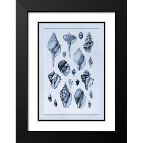 Shells: Sessile Cirripedes #3 (Blue) Black Modern Wood Framed Art Print with Double Matting by Sowerby, G.B.