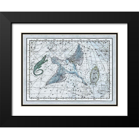 Maps of the Heavens: The Swan in the Milkyway Black Modern Wood Framed Art Print with Double Matting by Jamieson, Alexander
