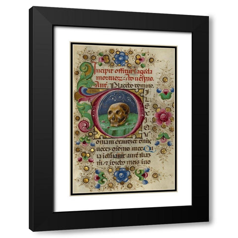 Initial D: A Skull in a Rocky Field Black Modern Wood Framed Art Print with Double Matting by Crivetti, Taddeo