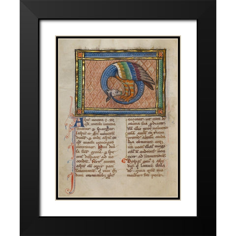 A Dragon-like Snake Black Modern Wood Framed Art Print with Double Matting by Franco-Flemish 13th Century