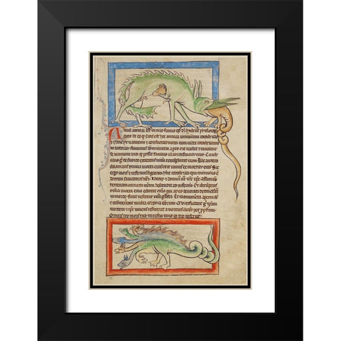 A Hydrus; A Hydra Black Modern Wood Framed Art Print with Double Matting by English 13th Century