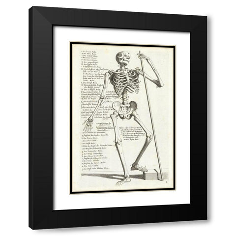 Anatomical diagram showing human skeleton, front view, with legends Black Modern Wood Framed Art Print with Double Matting by Bollmann, Hieronymus