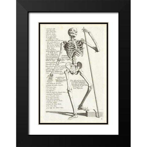 Anatomical diagram showing human skeleton, front view, with legends Black Modern Wood Framed Art Print with Double Matting by Bollmann, Hieronymus