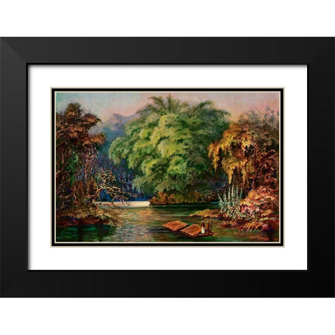 Riesenbambus von Ceylon Fahrt auf dem Schwarzen Fluss Kalu Ganga Black Modern Wood Framed Art Print with Double Matting by Haeckel, Ernst