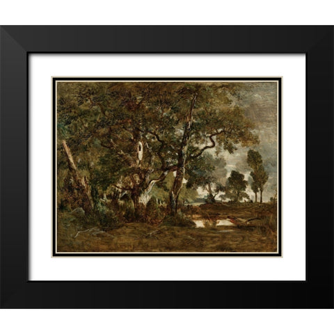 Forest of Fontainebleau, Cluster of Tall Trees Overlooking the Plain of Clair-Bois at the Edge of Ba Black Modern Wood Framed Art Print with Double Matting by Rousseau, Theodore
