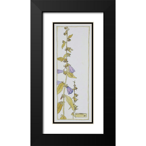 Bell Flower Black Modern Wood Framed Art Print with Double Matting by Overbeck, Hannah Borger