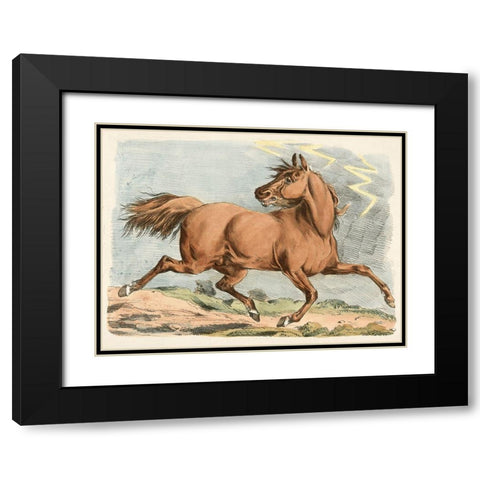 Brown Horse Running, 1817 Black Modern Wood Framed Art Print with Double Matting by Alken, Henry Thomas