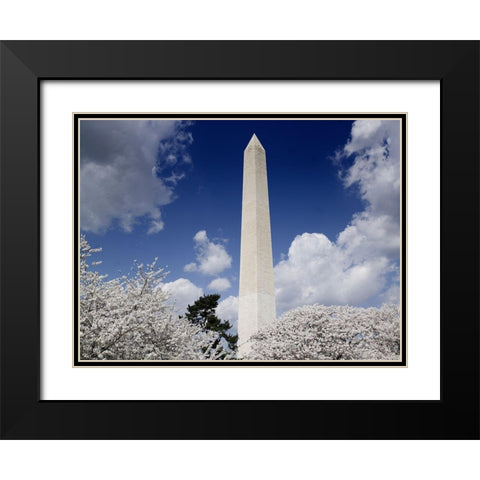 Washington Monument and cherry trees, Washington, D.C. Black Modern Wood Framed Art Print with Double Matting by Highmith, Carol