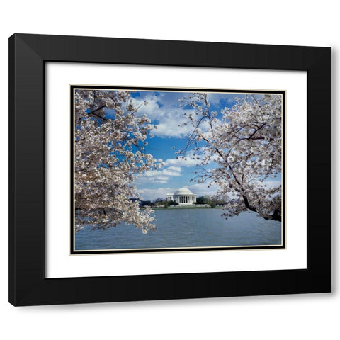 Jefferson Memorial with cherry blossoms, Washington, D.C. Black Modern Wood Framed Art Print with Double Matting by Highmith, Carol
