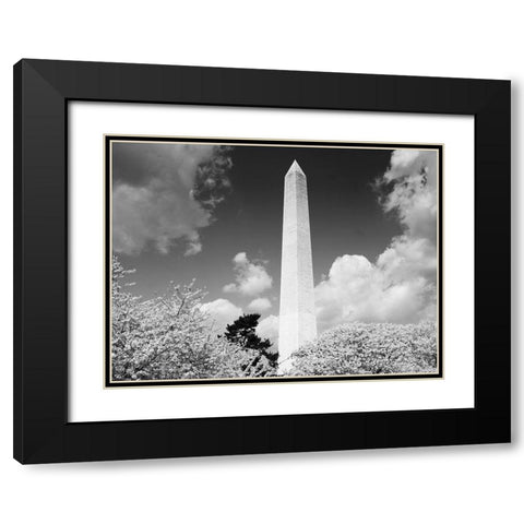 Washington Monument and cherry trees, Washington, D.C. - Black and White Variant Black Modern Wood Framed Art Print with Double Matting by Highmith, Carol
