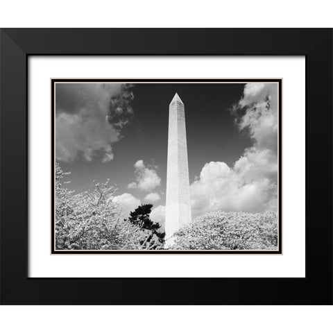 Washington Monument and cherry trees, Washington, D.C. - Black and White Variant Black Modern Wood Framed Art Print with Double Matting by Highmith, Carol