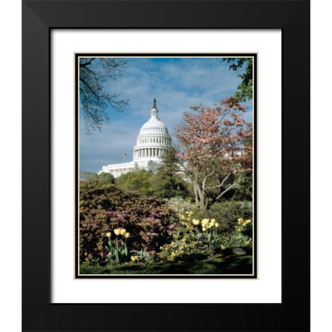 U.S. Capitol, Washington, D.C. Number 3 - Vintage Style Photo Tint Variant Black Modern Wood Framed Art Print with Double Matting by Highmith, Carol