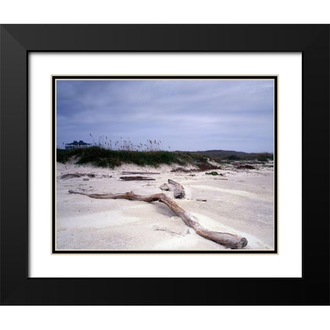 Driftwood on beach at Padre Island, TX Black Modern Wood Framed Art Print with Double Matting by Highmith, Carol